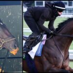 Baeza's comfort food, carrot smoothie, makes him feel at home before the Belmont Stakes