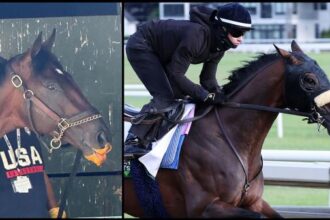 Baeza's comfort food, carrot smoothie, makes him feel at home before the Belmont Stakes