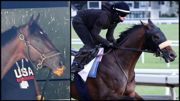 Baeza's comfort food, carrot smoothie, makes him feel at home before the Belmont Stakes