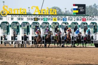 Baffert debuts three promising boys