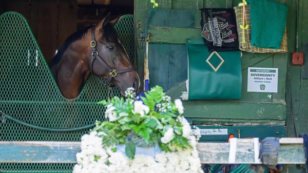 Belmont holds the key with interest in the sovereign rematch