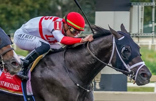 Bentornato Returns, runner-up to Breeders' Cup