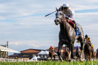 Bet the ag bullets beat the boys in 2025 Jaipur Stakes