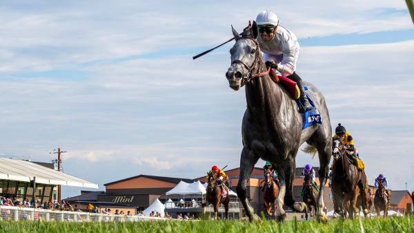 Bet the ag bullets beat the boys in 2025 Jaipur Stakes