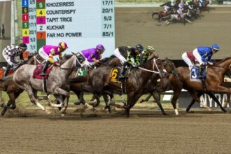 Betting Big Ticket Horse to Meet Potential in Pegasus Stakes