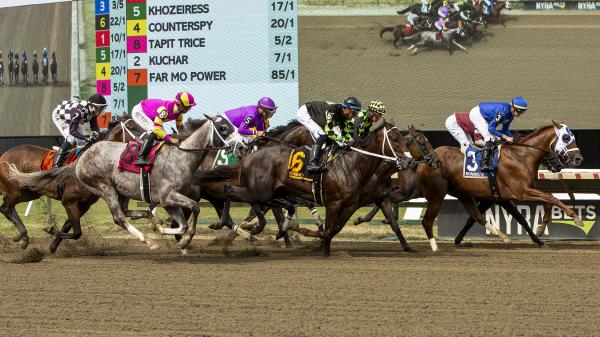 Betting Big Ticket Horse to Meet Potential in Pegasus Stakes