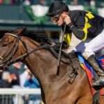 Brothers to the G1-Winning Sprinter's lead pack