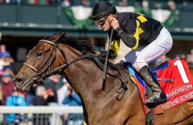 Brothers to the G1-Winning Sprinter's lead pack