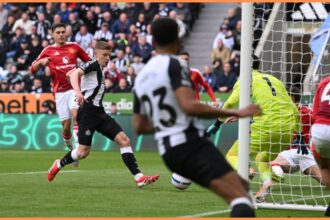 Newcastle prepared to provide 13 g/stars to Nottingham Forest