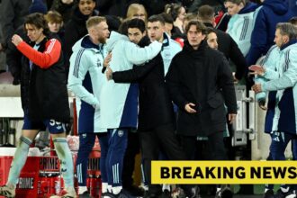 Arsenal "Absolutely Love" competes with Tottenham for experienced star Thomas Frank