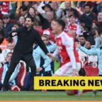Mikel Arteta during Arsenal vs Newcastle