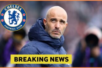 "I can confirm...": Chelsea is enthusiastic about "very easy coach" 22-year-old Premier League ace