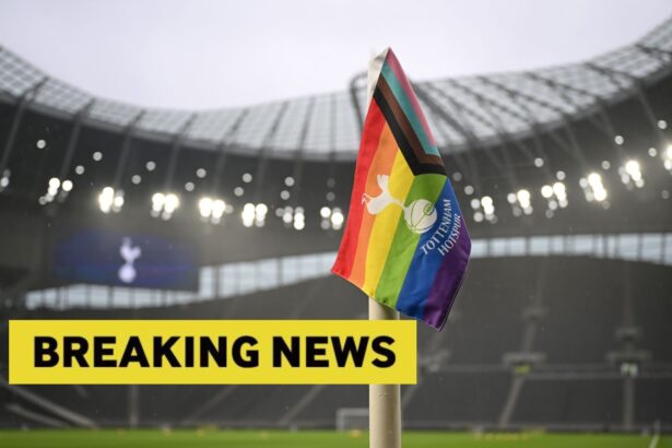 Tottenham accelerates negotiations for its "exceptional" target of 40 million euros