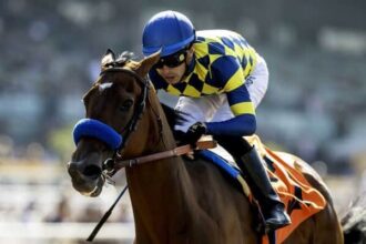 Cash Call & Howin finishes 1-2 of Summertime Oaks' Buffer