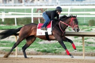 Coal Battle leads 10 stages of winners on the tab