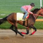 Coal Battle leads Tab's rated winners