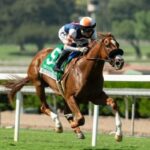 Damat enters 21 horses to close the weekend