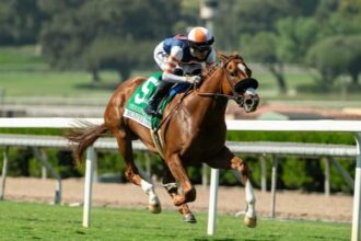 Damat enters 21 horses to close the weekend