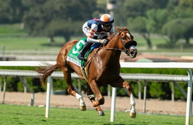 Damat enters 21 horses to close the weekend