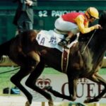 Dance smartly: Canadian Triple Crown Winner and Beloved Champion Philly