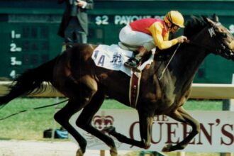 Dance smartly: Canadian Triple Crown Winner and Beloved Champion Philly