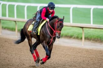 Derby runners are looking for a rebound on Matt Winn