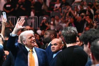 Donald Trump, UFC 316, Elon Musk, MMA