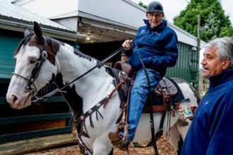 Fellow trainers praise Luca for her impact on enduring horse racing