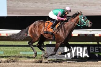 Fields of 8 are drawn for Haskell preparation in Monmouth Park