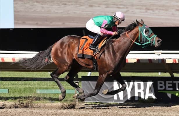 Fields of 8 are drawn for Haskell preparation in Monmouth Park