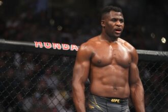 Francis Ngannou, UFC, MMA