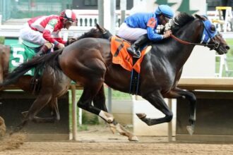 Front running mat Winn wins East Avenue Sharp