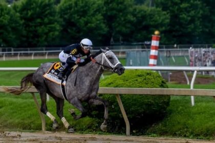 Grey's Brothers Win Tops Week's debut