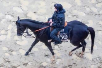 Heart of Ooana Gallop in Saratoga