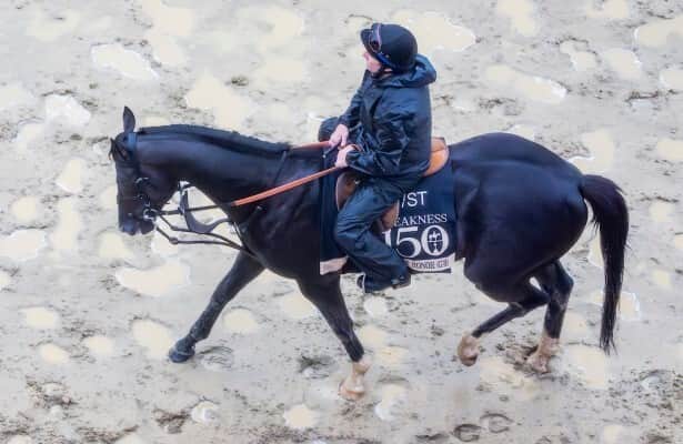Heart of Ooana Gallop in Saratoga