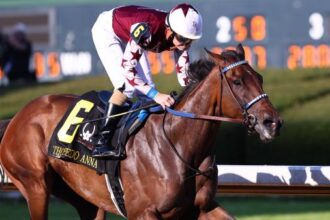 How to make money by betting on Fleur de Lis stakes