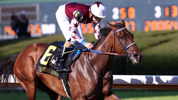 How to make money by betting on Fleur de Lis stakes