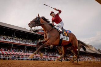 Identify key trends that will help you bet the 2025 Belmont Stakes