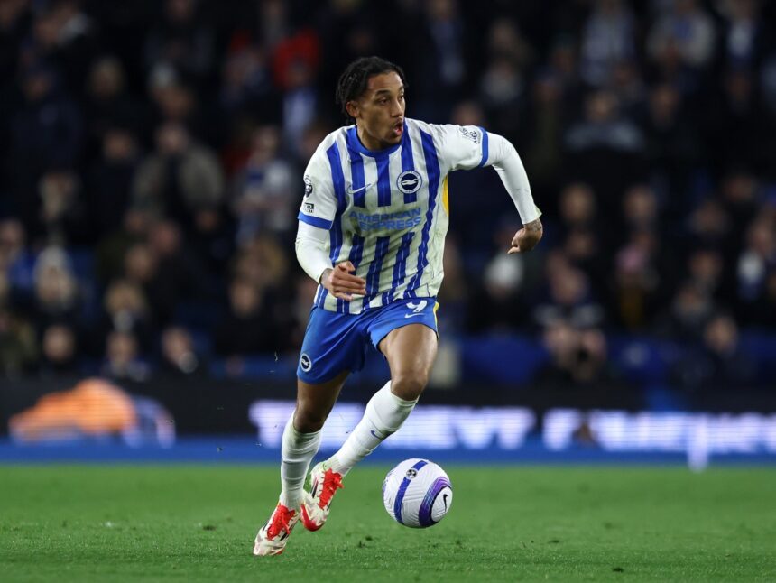 Joao Pedro in action for Brighton