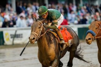 Mindframe continues to train Stephen Foster