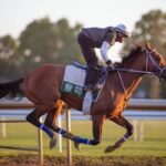 Mystik Dan leads the winners rated in Tab