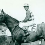 Native Dancer: Sagamore's Nearly Perfect Grey Ghost