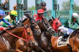 Noel's Weekend Winner: A Great Profit Opportunity for Ohio Derby Day
