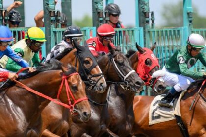 Noel's Weekend Winner: A Great Profit Opportunity for Ohio Derby Day