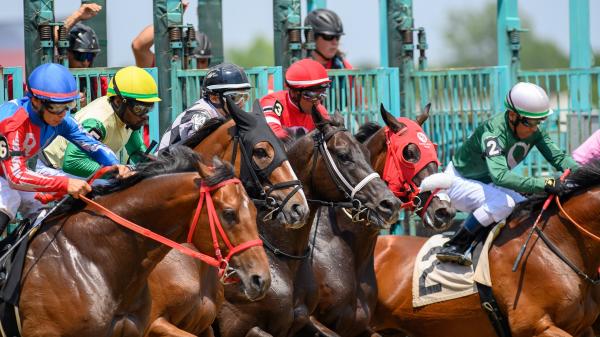 Noel's Weekend Winner: A Great Profit Opportunity for Ohio Derby Day