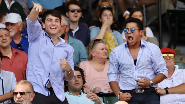 Noel's Weekend Winner: An outstanding selection of Belmont Stakes Undercards