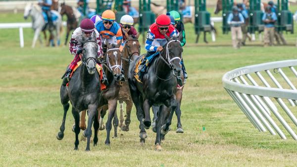 Noel's Weekend Winner: Best Bet on Haskell Preview Day on the Jersey Shore