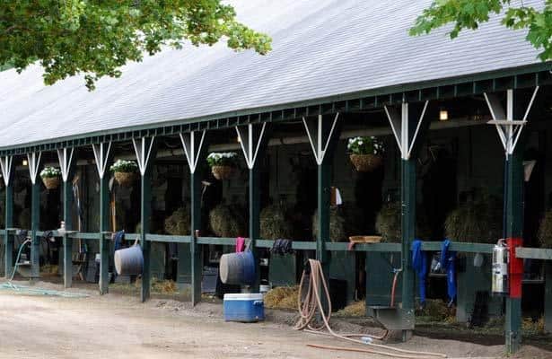 Nyra isolates barn at Saratoga for Srangles incident