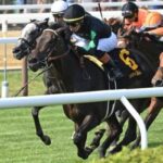 Pipsy and Donegal's momentum will lead the way with Saratogus stakes