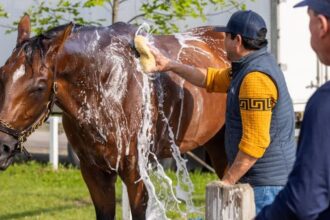 Preakness Winner Journalism confirmed its start in the Belmont Stakes